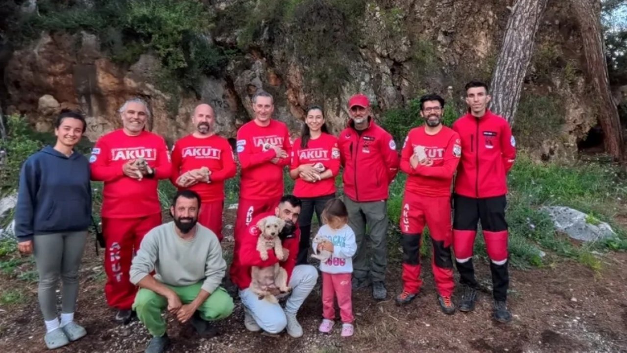 Kaya içerisindeki yarığa düşen 6 yavru köpek için film gibi kurtarma operasyonu