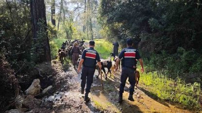 Antalya’da sürüden ayrılıp kaybolan 41 keçi jandarma tarafından bulundu