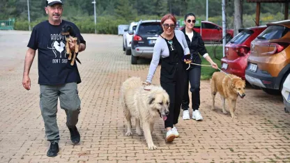 Büyükşehir Bakımevi’nde can dostlar sıcak yuvalarına kavuşuyor