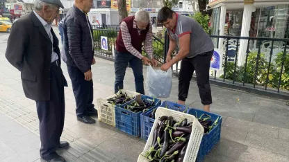 Ürettiği patlıcanlar maliyetini kurtarmayınca serasının kapılarını vatandaşlara açtı