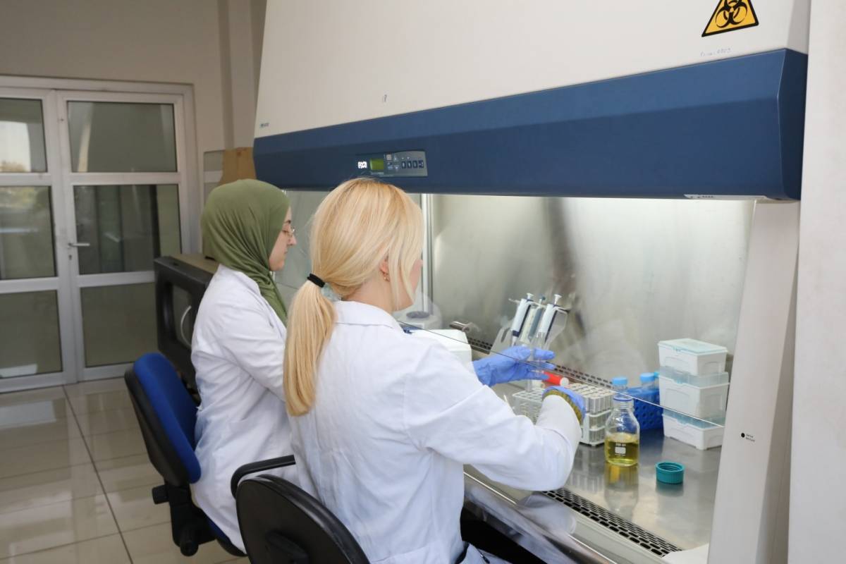 Akdeniz Üniversitesi 18 alanda Türkiye’nin ilk 20 üniversitesi arasında