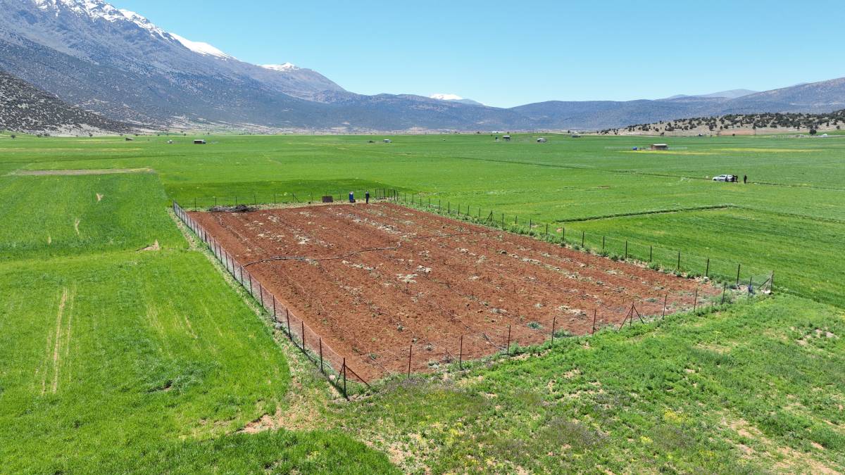 Modern tesisler ile vahşi sulama ve kayıpların önüne geçiliyor