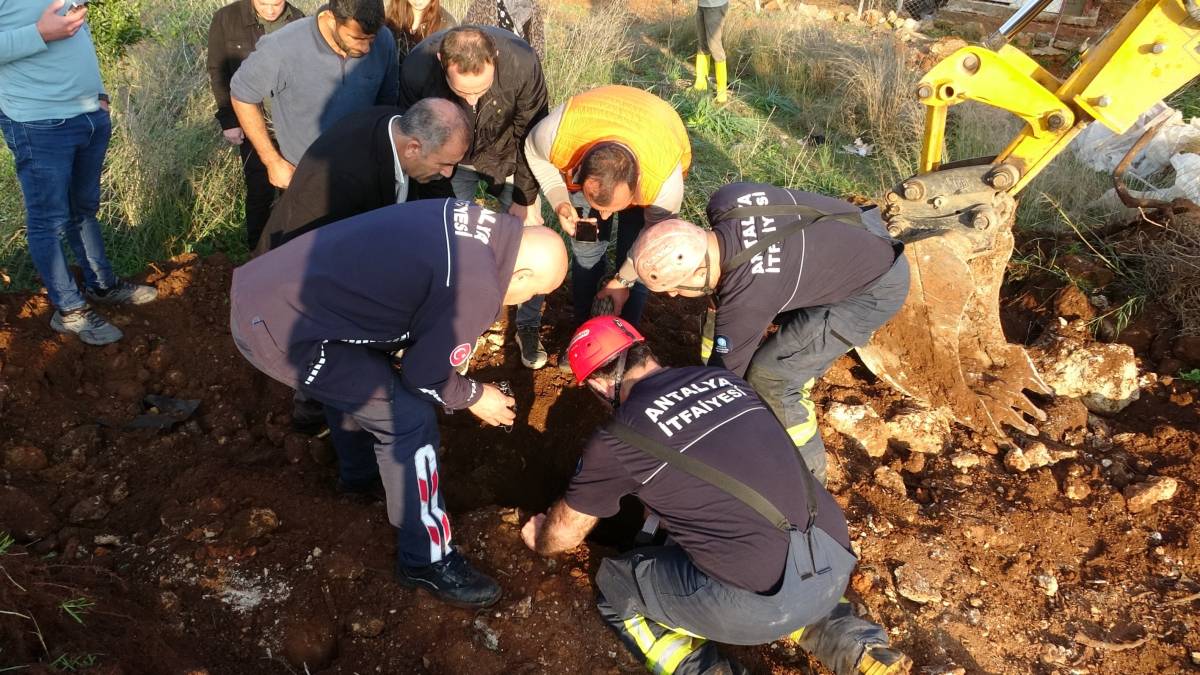 Seslerini küçük çocuk duydu, çalındı sanılan 2 koyun düştükleri 5 metrelik kuyudan kurtarıldı