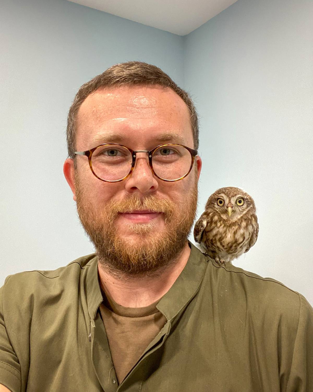 Caretta yuvası kumullar, iş makinesiyle ezildi