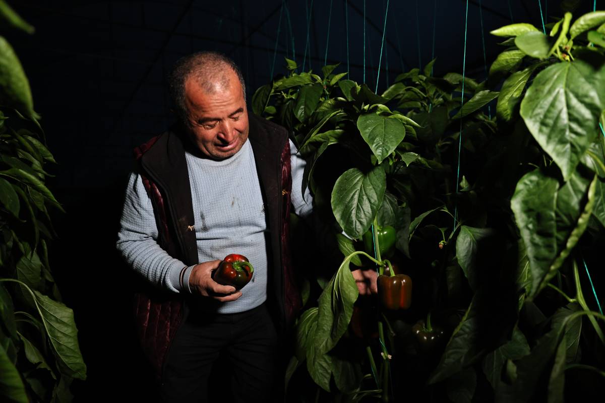 Seralarda dona karşı sıcaklıklar cep telefonundan anlık takip ediliyor