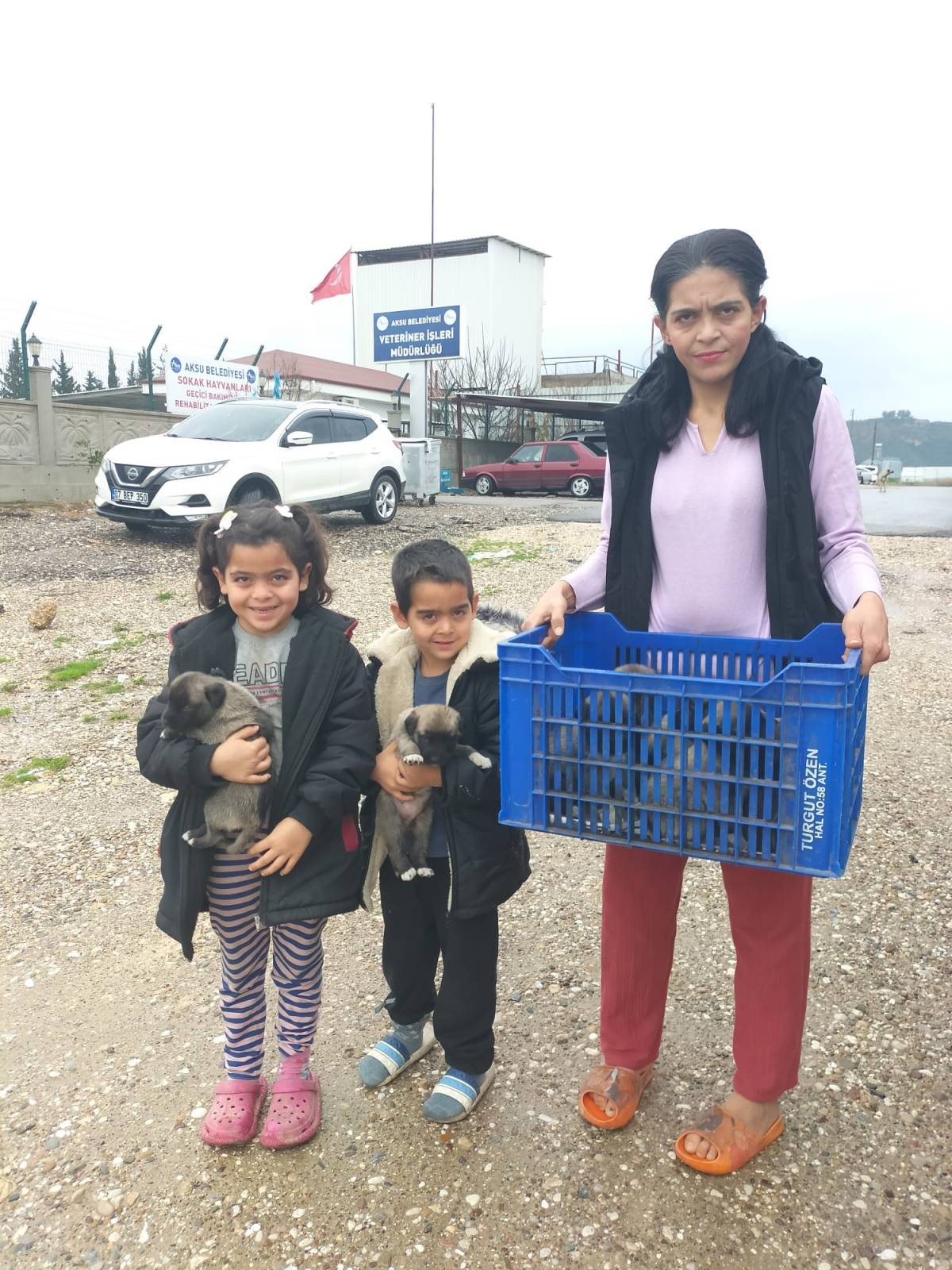 Fırtına sonrası devrilen ağaçların altında kalarak telef olan anne köpeğin yavrularına sahip çıktılar