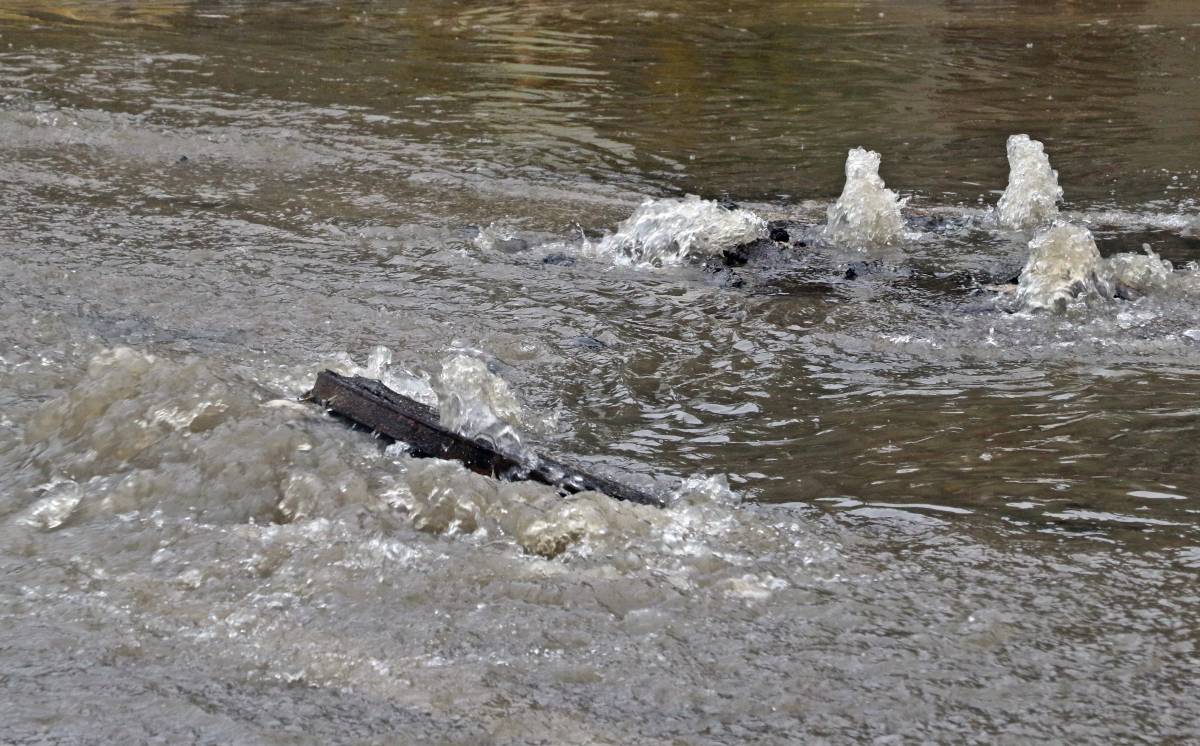 Antalya’da ’Sarı Kod’ uyarısı: Rögarlar taştı, telef olmuş dana kıyıya vurdu